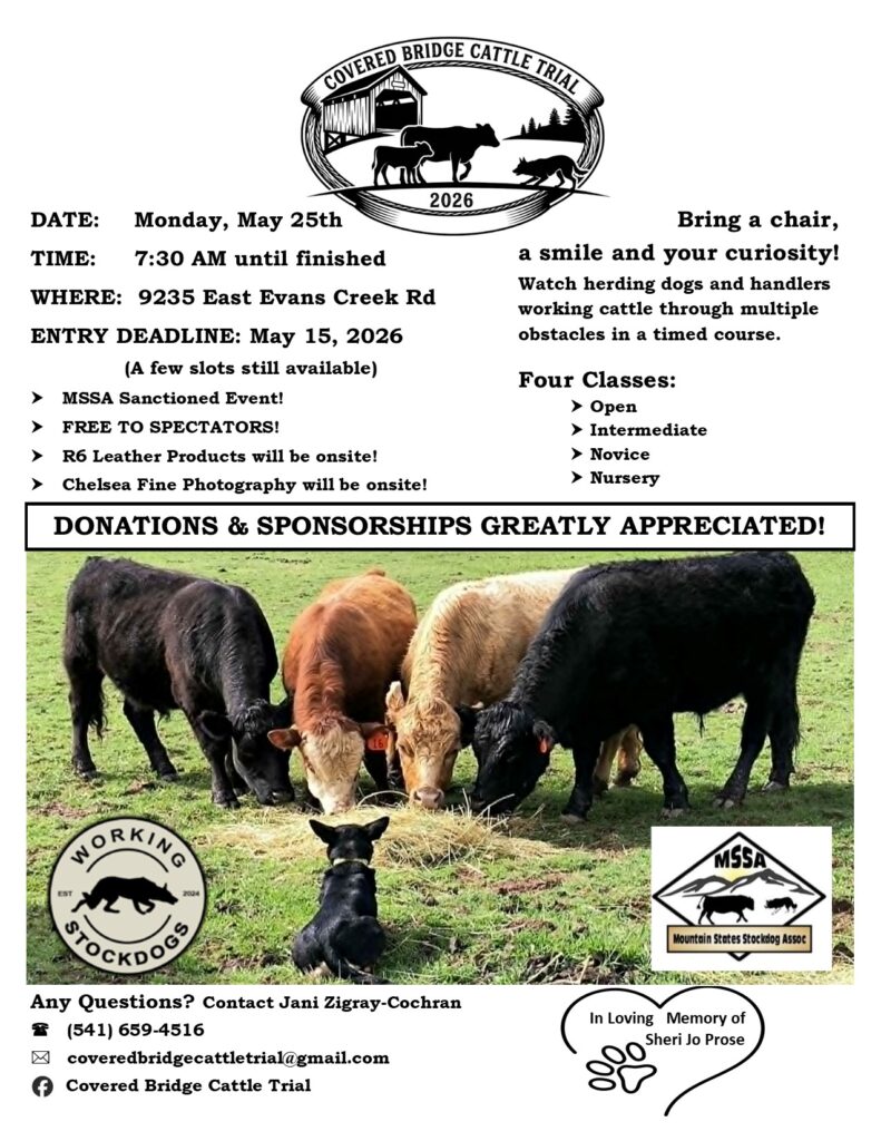 Covered Bridge Cattle Trial