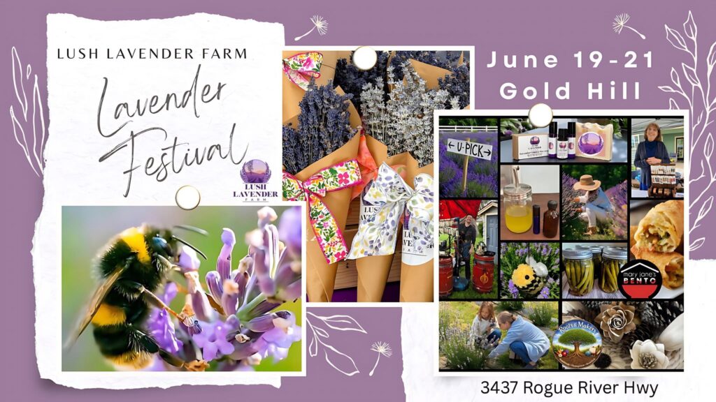 June Lavender Festival at Lush Lavender Farm