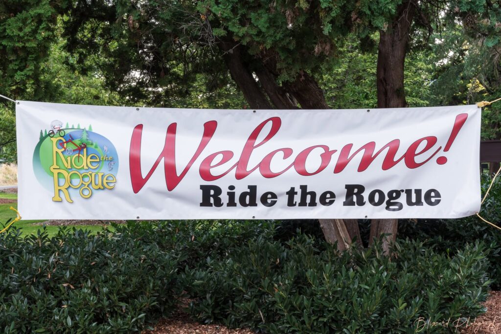 Ride the Rogue