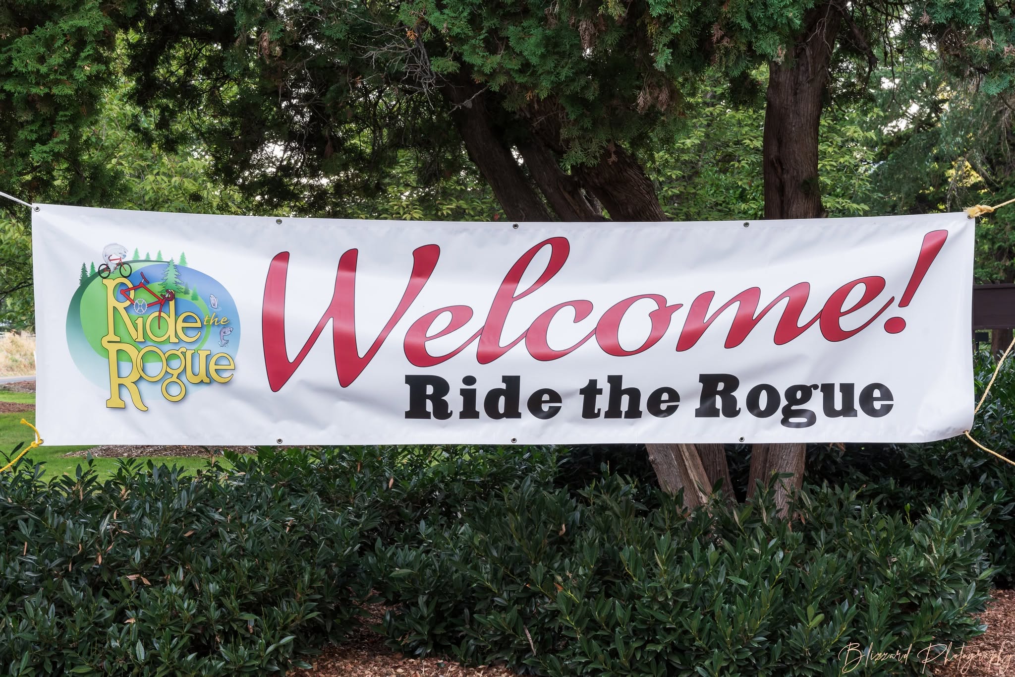 Ride the Rogue